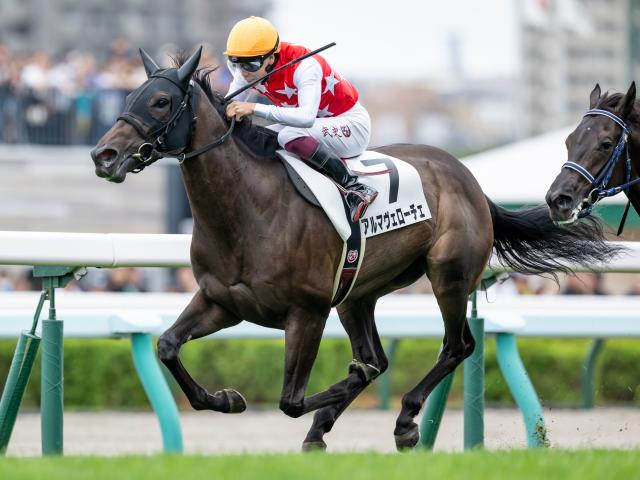 【週末情報】アルマヴェローチェが坂路で最終調整/馬三郎のつぶやき
