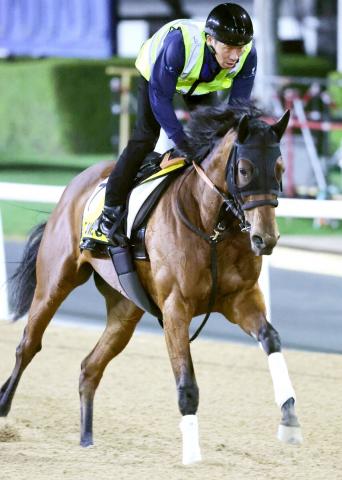 【注目馬動向】ブレイディヴェーグは安田記念で戸崎圭太騎手と7戦ぶりのコンビ　「力をつけている印象」