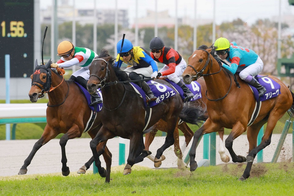 ２２年大阪杯覇者ポタジェが競走馬登録抹消　イーストスタッドで種牡馬入り　友道師「芝でもダートでも走れる子どもを出してくれる」