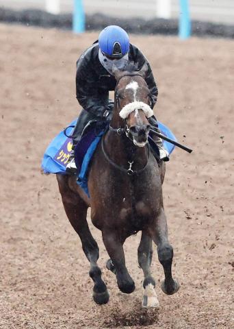 【古馬・注目馬動向】シックスペンスは安田記念でルメール騎手とコンビ復活　騎乗時は4戦全勝