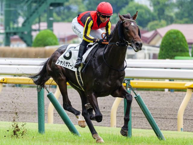 半兄に日本ダービー馬と皐月賞馬 シャハザマーンが3度目の正直なるか