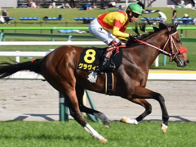 兄姉にリアルスティール＆ラヴズオンリーユー 矢作芳人厩舎ゆかりの超良血グラヴィスが3勝目狙う