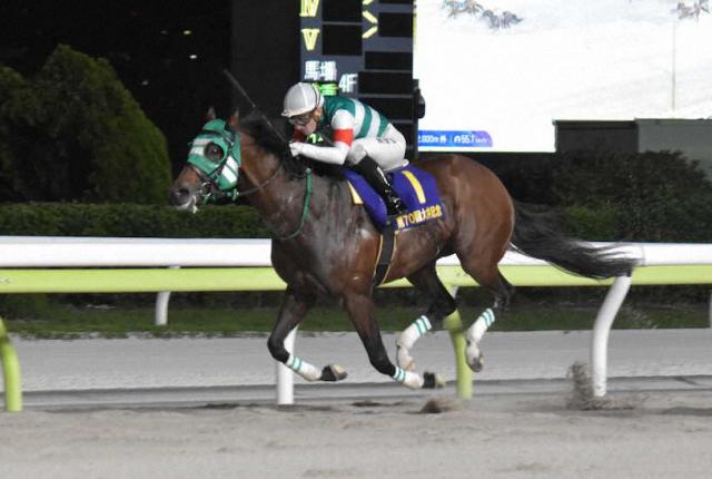 【大井記念】ライトウォーリア逃げ切り　昨年のNAR年度代表馬が復活　クアトロは日本での重賞初勝利