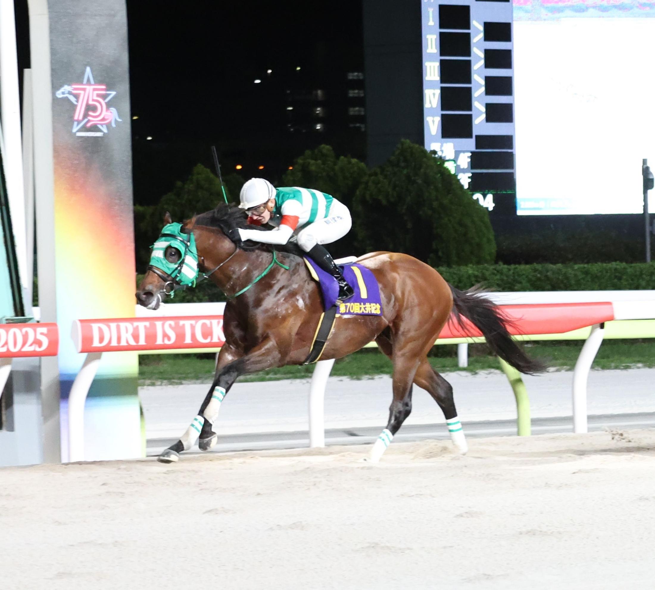 【地方競馬】デイリー盃大井記念　ライトウォーリアが逃げ切り年度代表馬の意地を示す