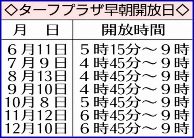 美浦が熱い!!ファンイベントで競走馬の日常を体感
