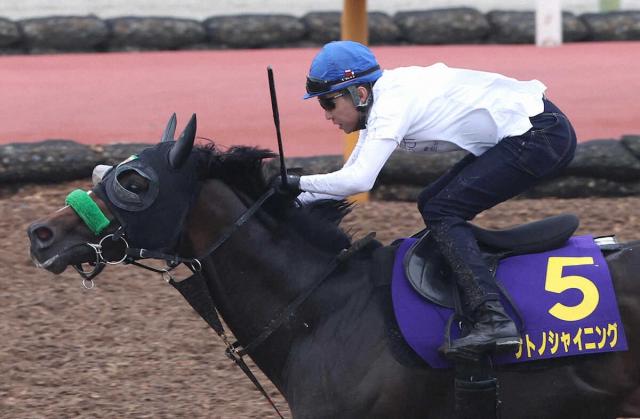 【ダービー1週前追い】サトノシャイニング　武豊背に好時計「前進気勢は強いので競馬はそこがポイント」
