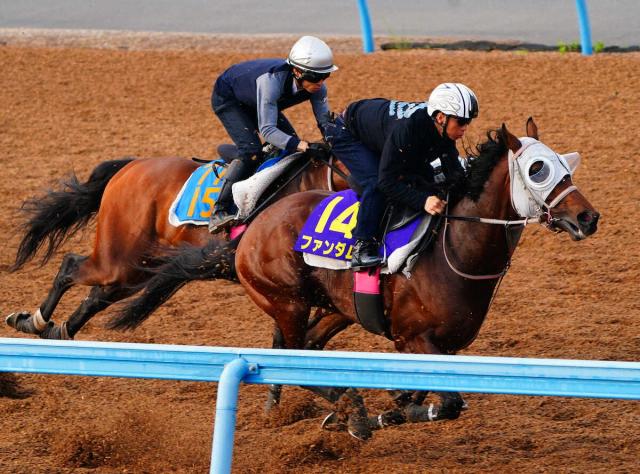 【ダービー1週前追い】ファンダム　活発な動き披露　北村宏「いい意味で平行線」