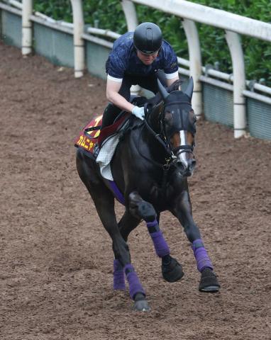 【オークス】カムニャック　友道師は上積み強調「前走のような競馬ができれば」