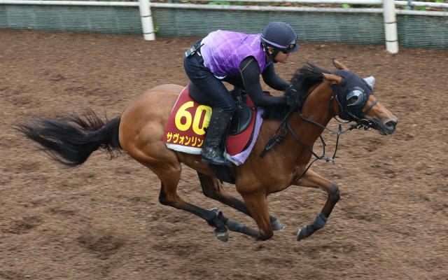 【オークス】サヴォンリンナ　しまい重点で軽快な動き　田中克師「距離が延びても大丈夫そう」