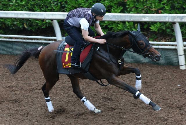【オークス】レーゼドラマ　調整程度でラスト1Fは12秒4　辻野師「フレッシュな状態」