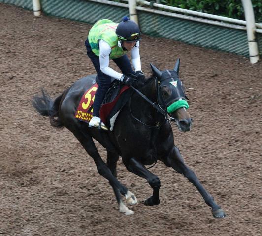 【オークス】エリカエクスプレス　折り合い重視手応え上々　杉山師は反撃に期待