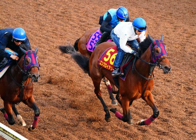 【オークス】エンブロイダリー2冠へ万全　9戦4勝ルメール　桜花賞馬とのタッグならV率100%