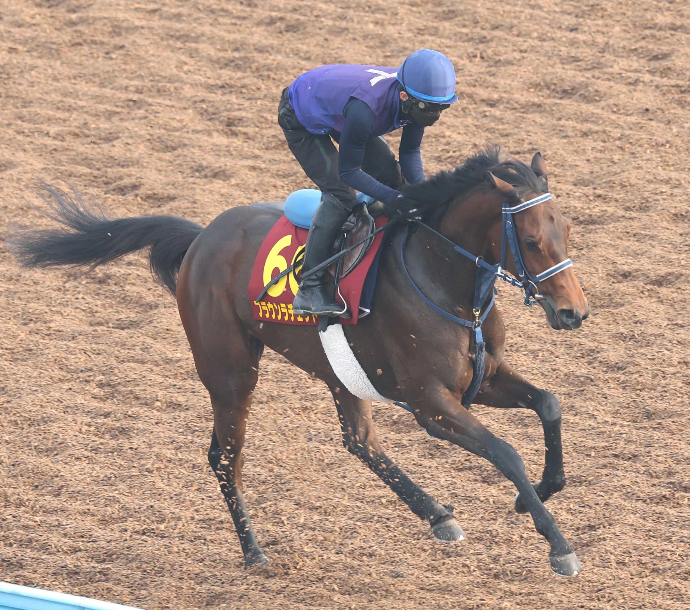 【オークス】ブラウンラチェット　巻き返しへ合格点　手塚久師「ポテンシャルは上位組と遜色ない」