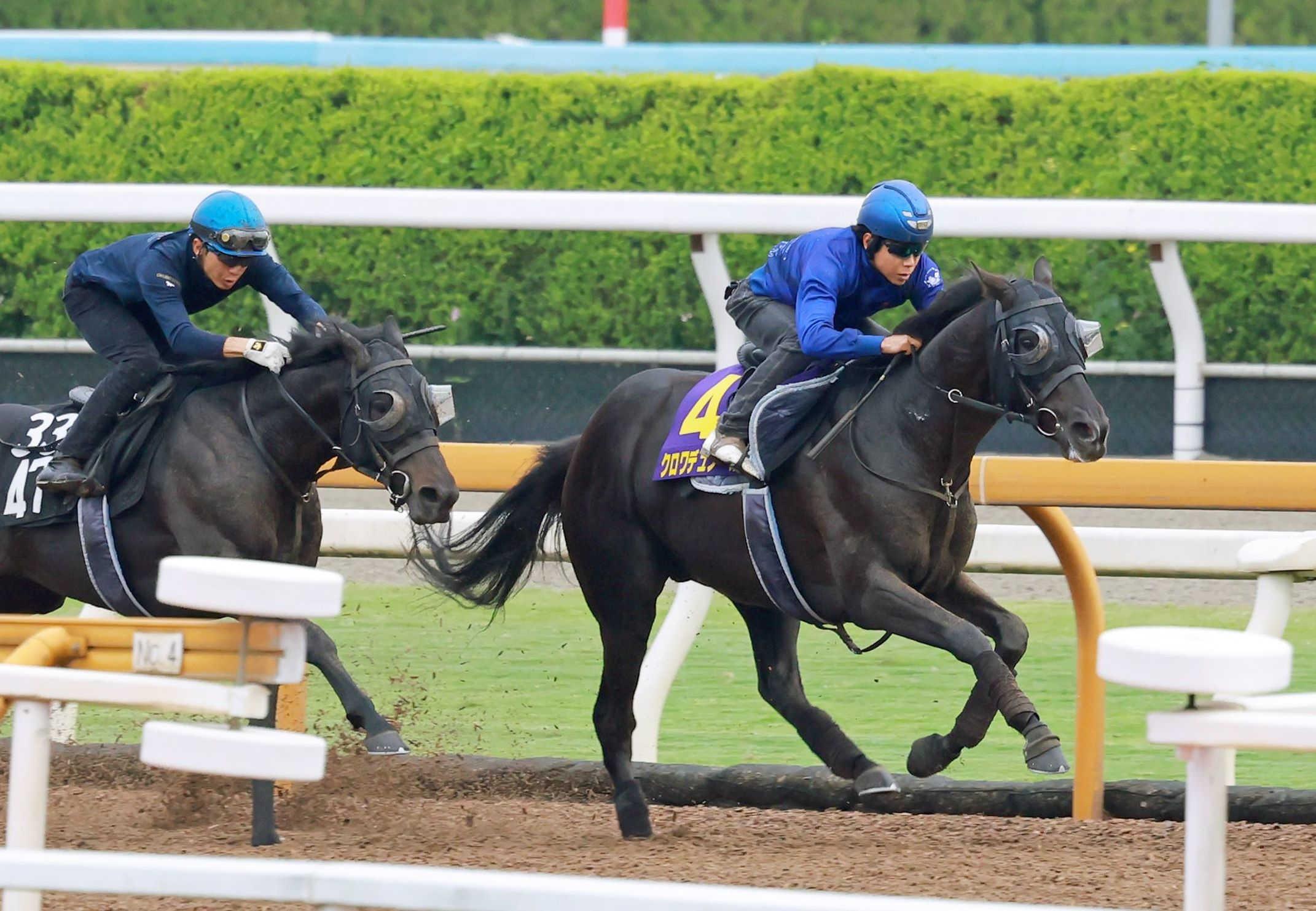 【日本ダービー】クロワデュノール　王座奪還へ　北村友を背に抜群の動き「東京コースは良さそう」