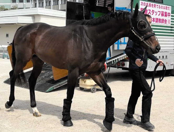 シックスペンス　ルメールで安田記念へ　重賞３勝含む４戦４勝のコンビ