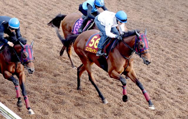 【オークス】2冠へ桜花賞馬が死角なし　力強い動きに現役最多4勝のルメール騎手が「完璧」