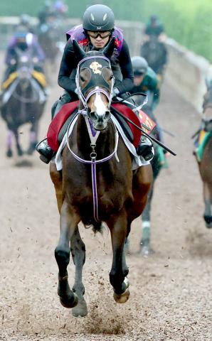 【オークス】桜花賞3着馬が坂路で軽快な動き　「スタミナがある」陣営は2歳時から樫の舞台に期待