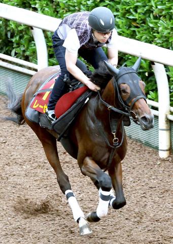 【オークス】フラワーC覇者が史上初の直行Vへ上昇気配　辻野調教師「より踏み込んだ調教ができた」
