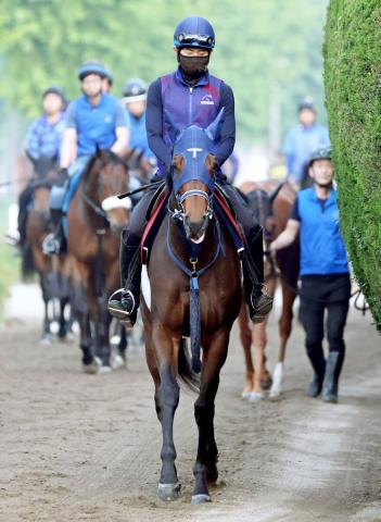 【オークス】桜花賞9着からの巻き返しへ手加減なしの仕上げ　手塚久調教師「距離は延びていいと思う」