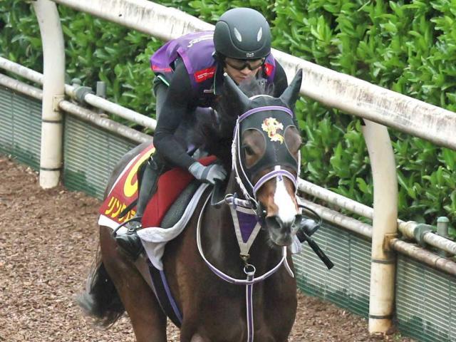 【オークス】リンクスティップ　逆転へ好リズム　桜花賞と遜色ない仕上がり　雨予報もプラス