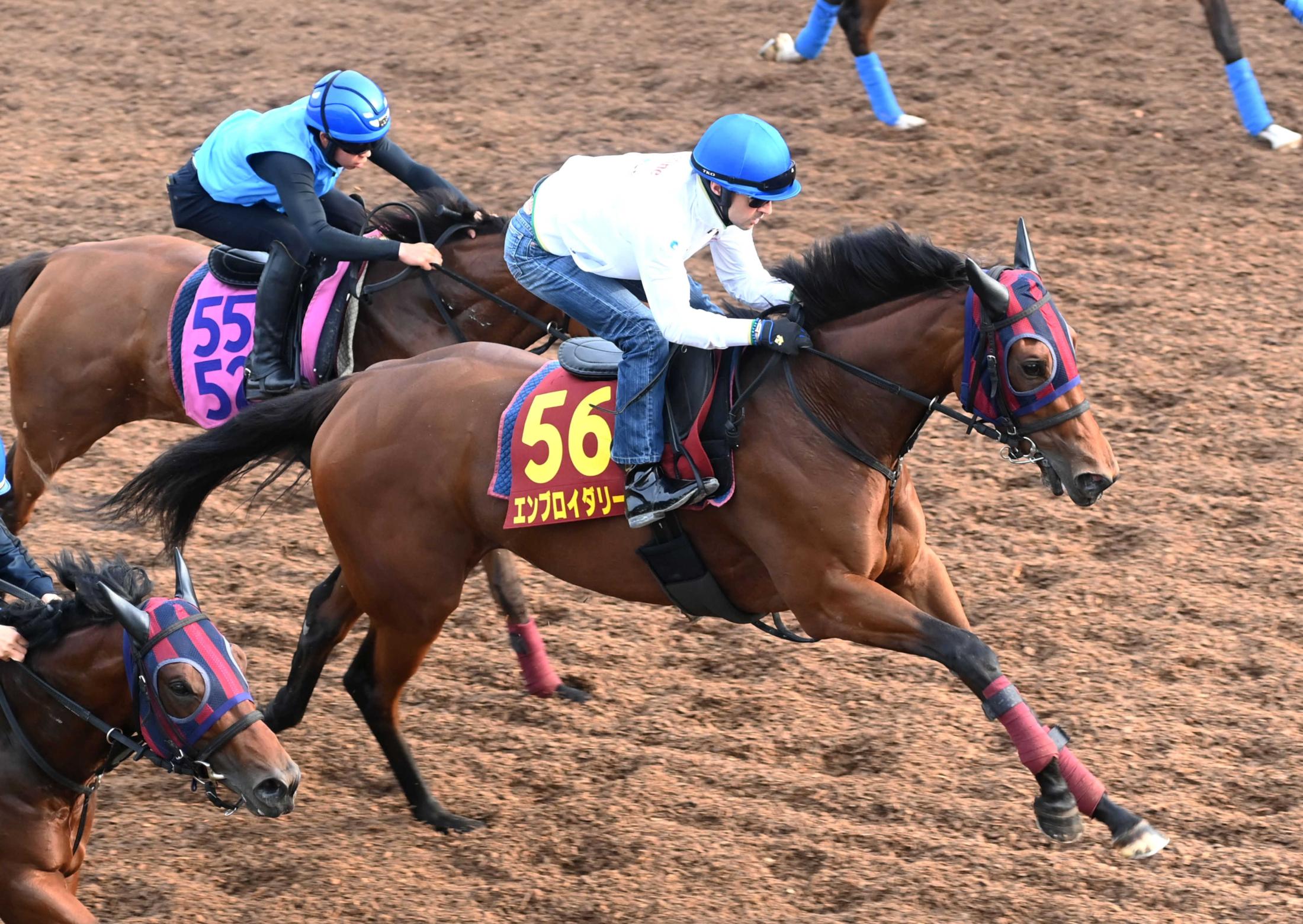 【オークス】エンブロイダリー　２冠獲りへ文句なし　自己ベスト更新！樫５勝目へルメール「自信あり」