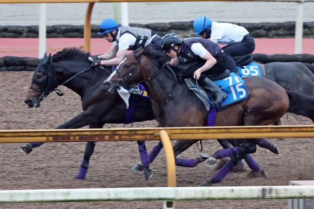 【日本ダービー・1週前】ルメール騎手がショウヘイと初コンタクト　「ダービー勝ったら、さすがショウヘイですね」