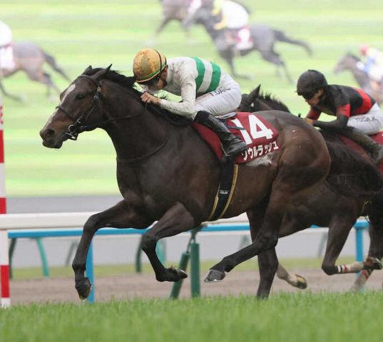 ソウルラッシュは浜中との3年ぶりのコンビで安田記念へ