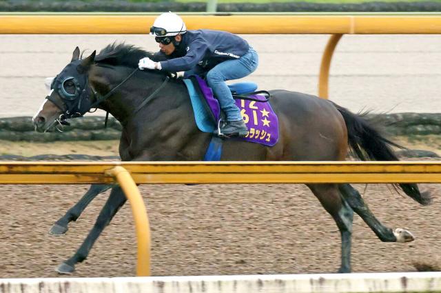 ソウルラッシュが栗東・CWコースで自動計測開始以降2位となるラスト10秒5の猛時計!　気になる1位は…
