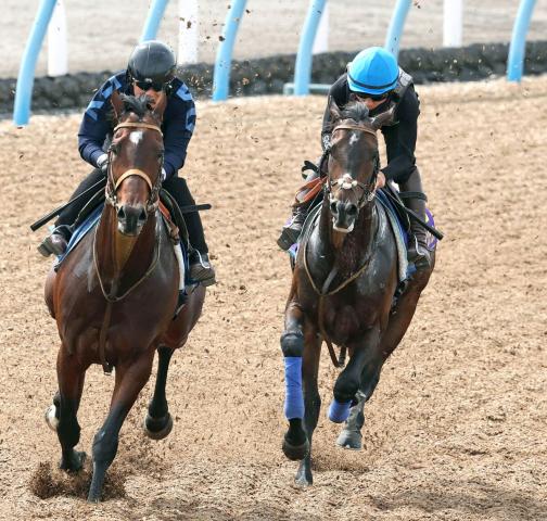 【日本ダービー1週前】ファイアンクランツがスムーズに併入　佐々木大輔騎手「無理をしない感じで」
