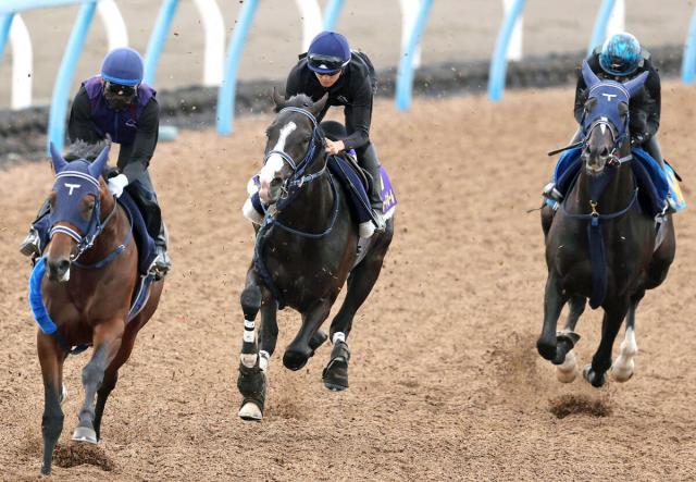 【日本ダービー1週前】マスカレードボールは変わりないことが何より　坂井瑠星騎手「もとからいい馬ですからね」