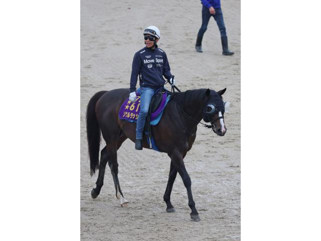 【注目馬動向】ソウルラッシュが安田記念で浜中俊騎手とコンビ復活「また乗れるというのはうれしい」