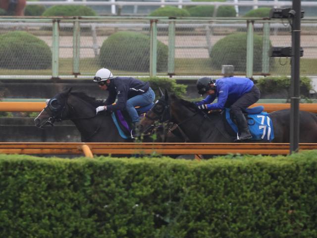 ソウルラッシュ、安田記念2週前追い切り速報/栗東トレセンニュース