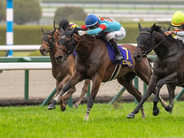 【オークス枠順確定】エンブロイダリーは5枠9番、アルマヴェローチェは1枠1番