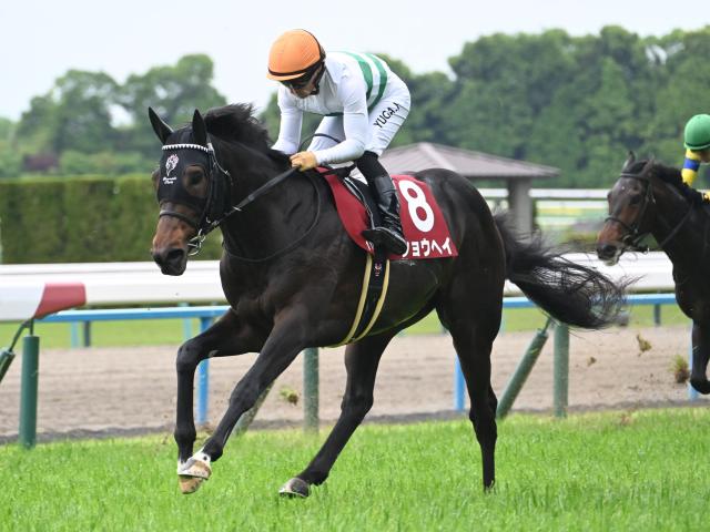 【POG】こっちのショウヘイも好調堅持！ 3頭併せでグイッと最先着/馬三郎のつぶやき