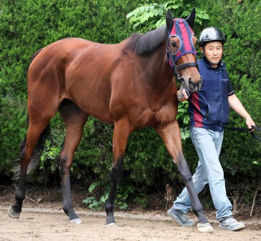 【オークス】エンブロイダリーの枠順に森一調教師「極端な内、外は嫌だったのでいいところ」　牝馬2冠へ5枠9番　