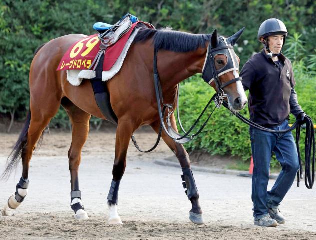 【オークス】抽選突破のレーヴドロペラは過去10年で馬券圏内4回の1枠2番　加藤士調教師「一発狙うように」