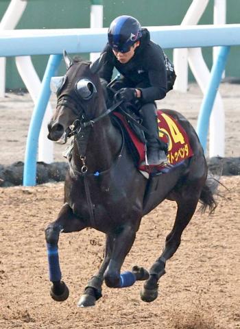 【オークス】抽選対象のエストゥペンダは6頭中1頭だけ出走かなわず　