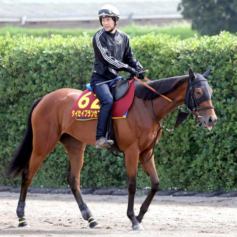 【オークス】抽選対象のタイセイプランセスは5枠10番　池上調教師「何とか頑張ってもらいましょう」