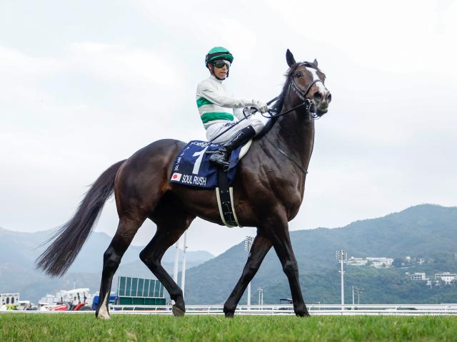 【有力馬動向】久々の浜中騎乗で燃えた？ ソウルラッシュ豪快な動きで時計も秀逸！/馬三郎のつぶやき