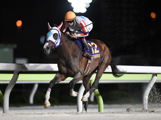 【地方競馬】さまざまな路線から狙いを定める3歳ダートの頂点東京ダービー