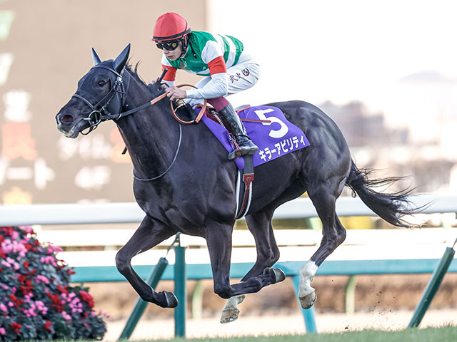 半兄はインドで種牡馬入り予定のキラーアビリティ キラーチューンがデビューV狙う