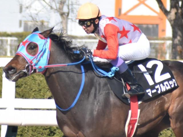 今週の武豊騎手は15鞍 マーブルロックで平安Sの27年ぶり2勝目なるか