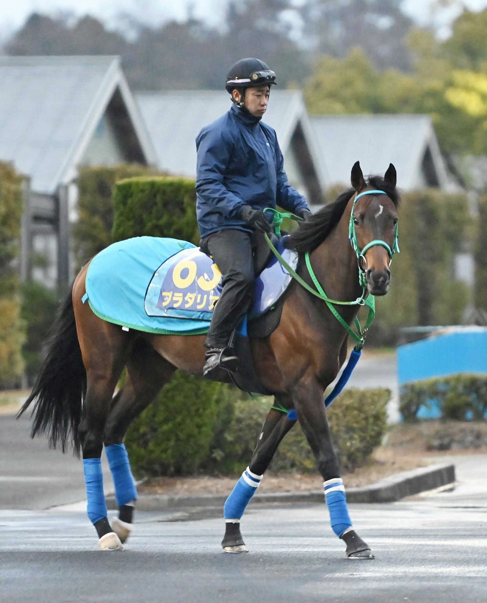 重賞３勝馬プラダリアがデビュー２年目の高杉で宝塚記念へ　池添師明かす　鞍上はＧ１初騎乗