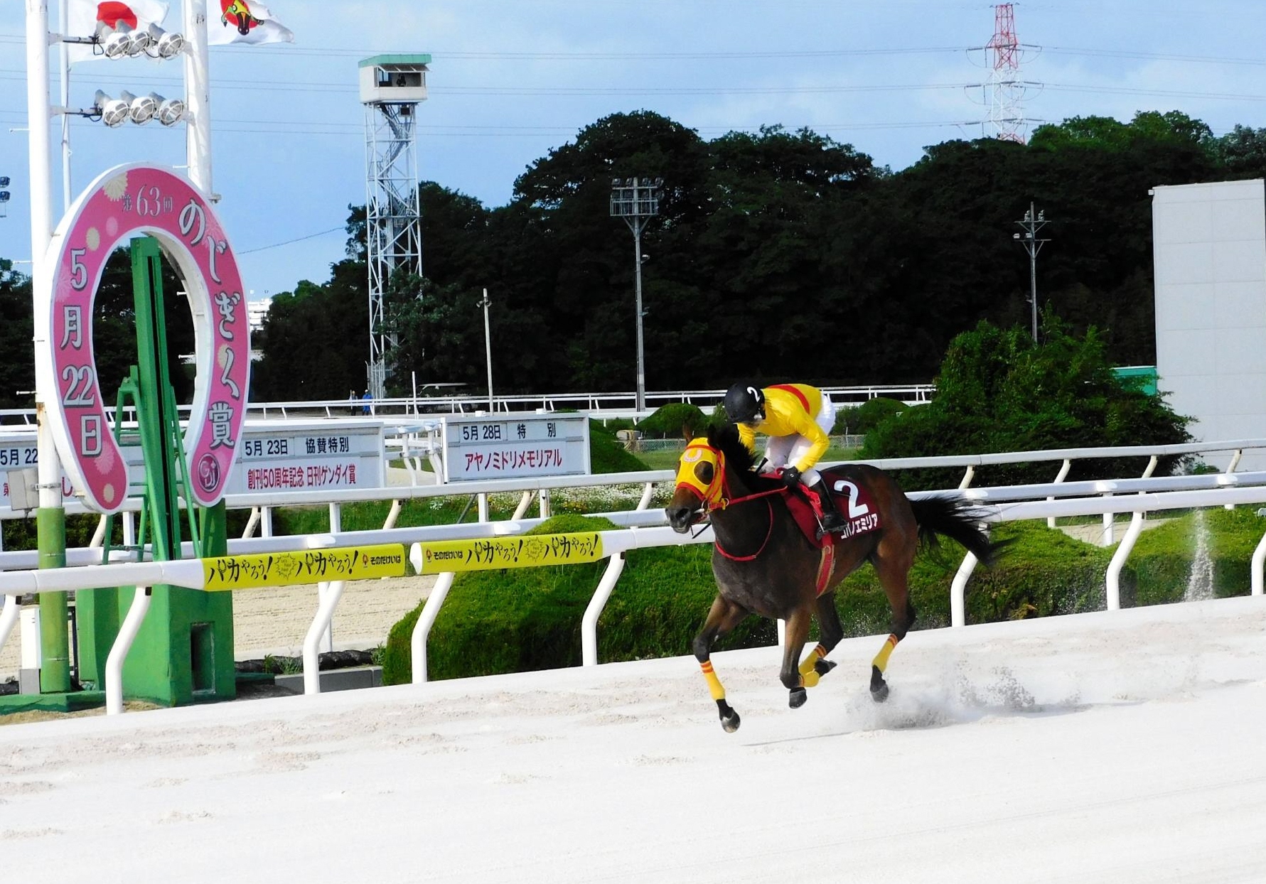 【地方競馬】愛知のコパノエミリアが８馬身差の圧勝で重賞２勝目