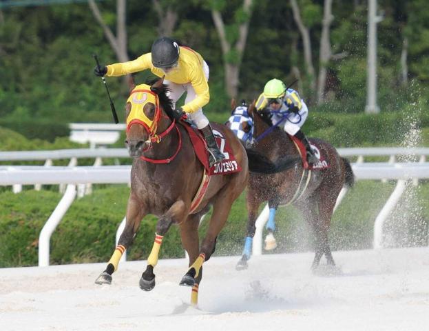 【園田競馬　のじぎく賞】名古屋のコパノエミリア　8馬身差の圧勝で重賞2勝目　吉村「伸びしろある」
