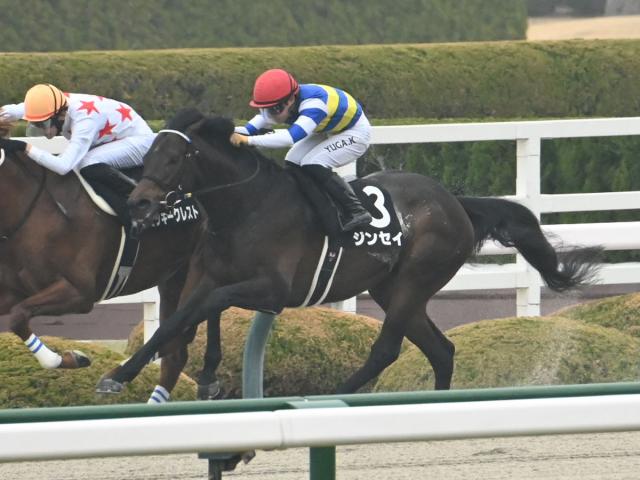 【平安S予想】前走でダート重賞や長距離戦を経験している馬が有利!? 下級条件から参戦した馬が苦戦する理由とは