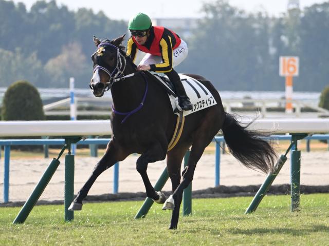 【オークス予想】前走のレース格や4角での位置取りに注意！ 前回の経験が裏目に出そうな人気馬とは