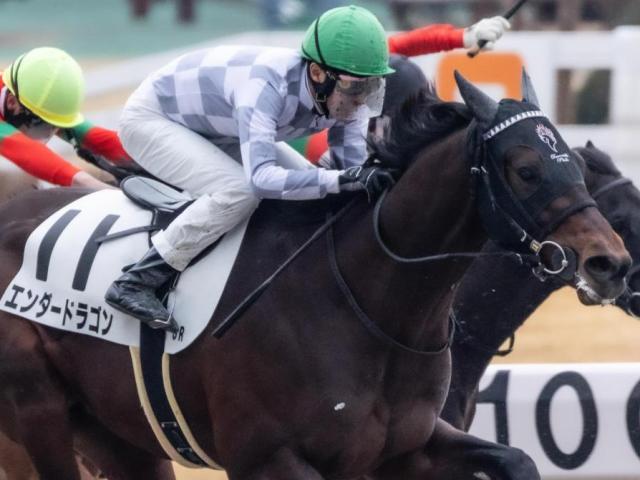 【メルボルンT】半兄は名馬ドウデュース エンダードラゴンが初芝で覚醒なるか