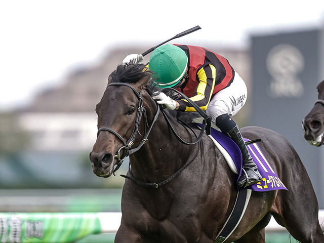 11年ぶりに6月開催の日本ダービー 「6枠」と馬番「6」の気になる成績は？