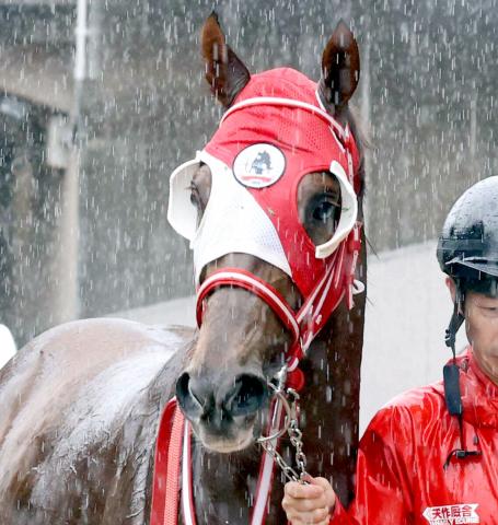 【注目馬動向】日本ダービーで抽選対象のホウオウアートマンは引き続き田辺裕信騎手とのコンビ